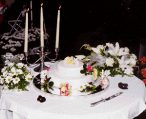 Dave Lenz | Wedding Cake